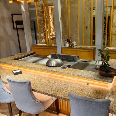 comprar Mesa de parrilla Teppanyaki comercial con acero de aleación de grado alimenticio y calefacción eléctrica/gas en tamaño 1200*850*800mm Fabricación en línea